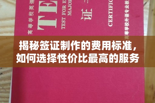 土默特右旗揭秘签证制作的费用标准，如何选择性价比最高的服务？